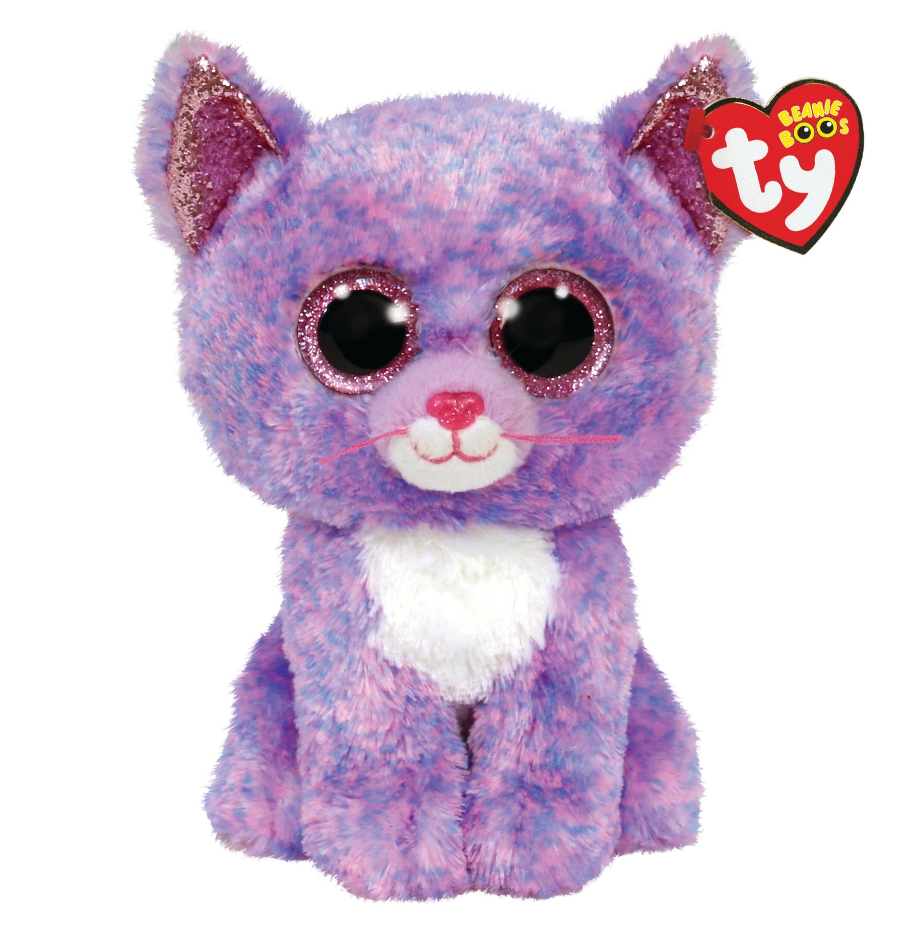 The Timeless Magic of Beanie Babies: Why They Still Captivate Us Today