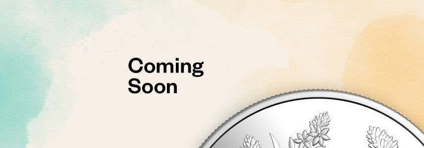 Celebrate the arrival of a baby born in 2026