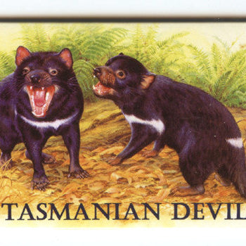 TASMANIA SOUVENIRS — The Gift Mart