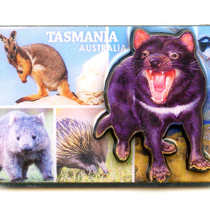 TASMANIA SOUVENIRS — The Gift Mart