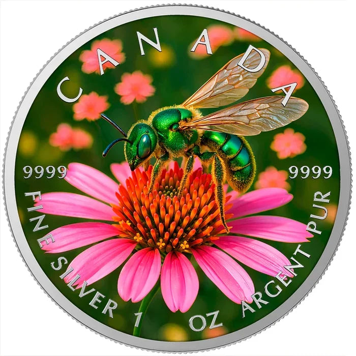 SWEAT BEE 2026 1OZ SILVER COIN