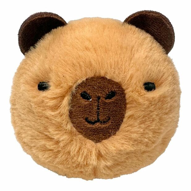 ✨ The Big-Eyed Craze: Why TY Beanie Boos Are the Must-Have Collectibles in Australia