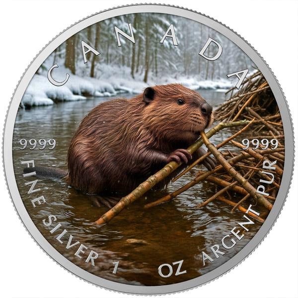 Winter Beaver 2025 Canada Maple Leaf 1oz Silver Coin