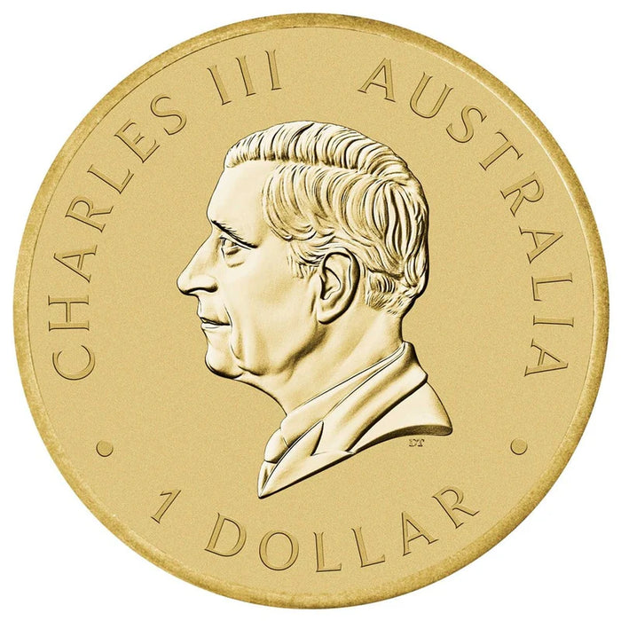ANZAC DAY 2024 COIN IN CARD