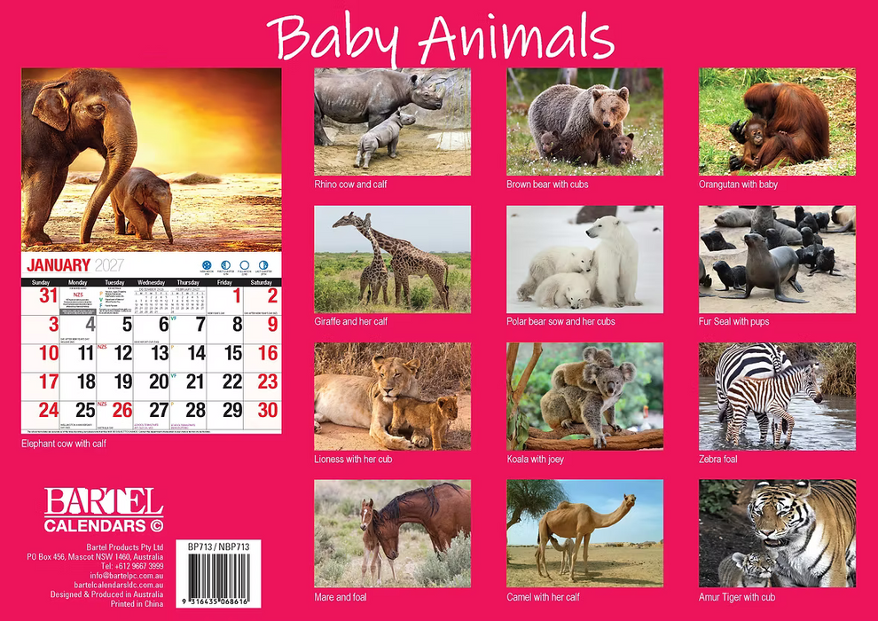 BARTEL CALENDARS 2027 BABY ANIMALS