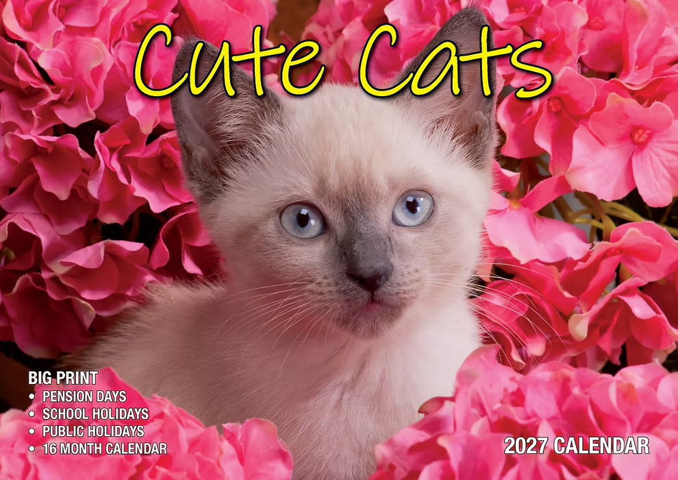 BARTEL CALENDARS 2027 CUTE CATS