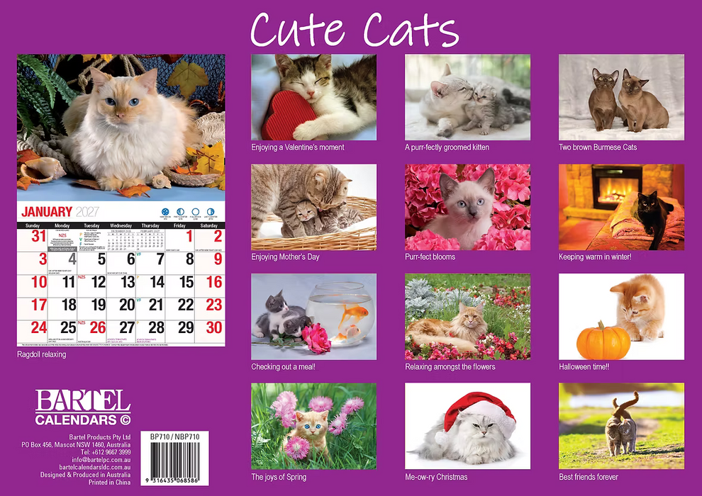 BARTEL CALENDARS 2027 CUTE CATS