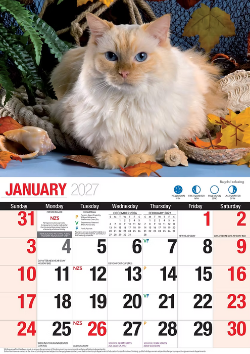 BARTEL CALENDARS 2027 CUTE CATS