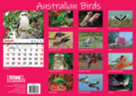 BARTEL CALENDARS 2027 AUSTRALIAN BIRDS