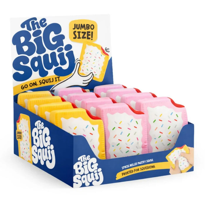 THE BIG SQUIJ POPTART ASST COLOURS