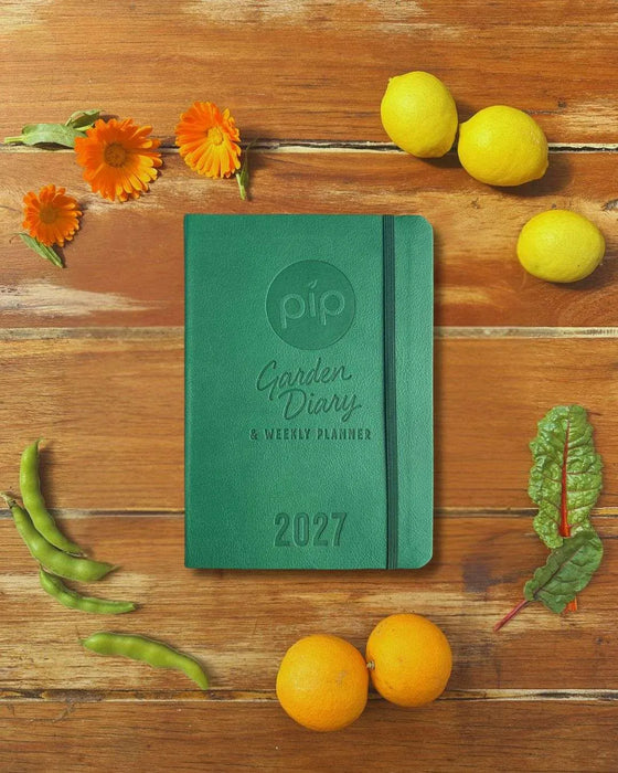 PIP DIARY: 2027