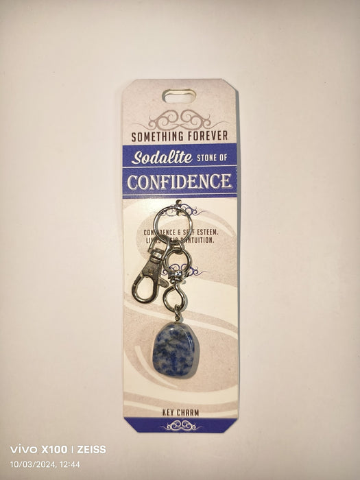 SOMETHING FOREVER SODALITE KEY CHAIN