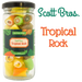 SCOTT BROS TROPICAL ROCK