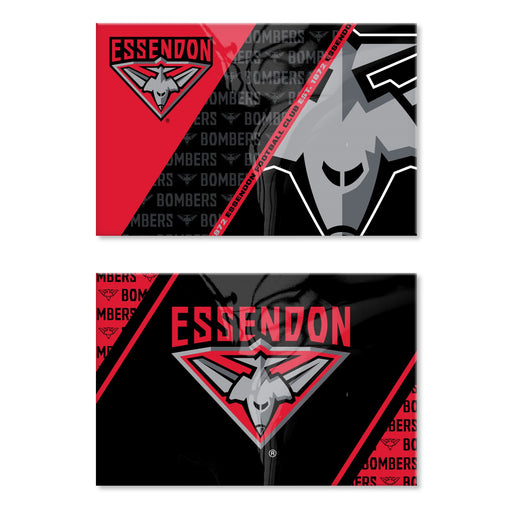 AFL ESSENDON MAGNET 