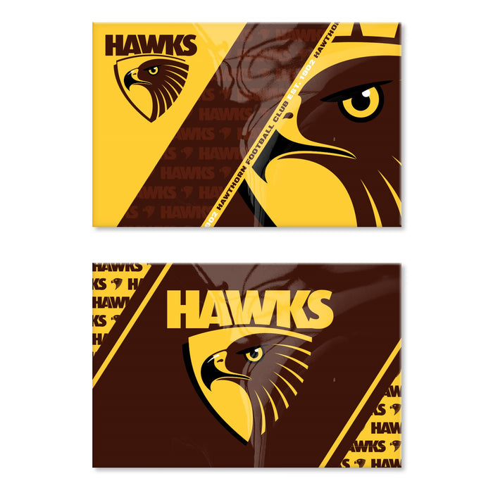 AFL HAWTHORN MAGNET 