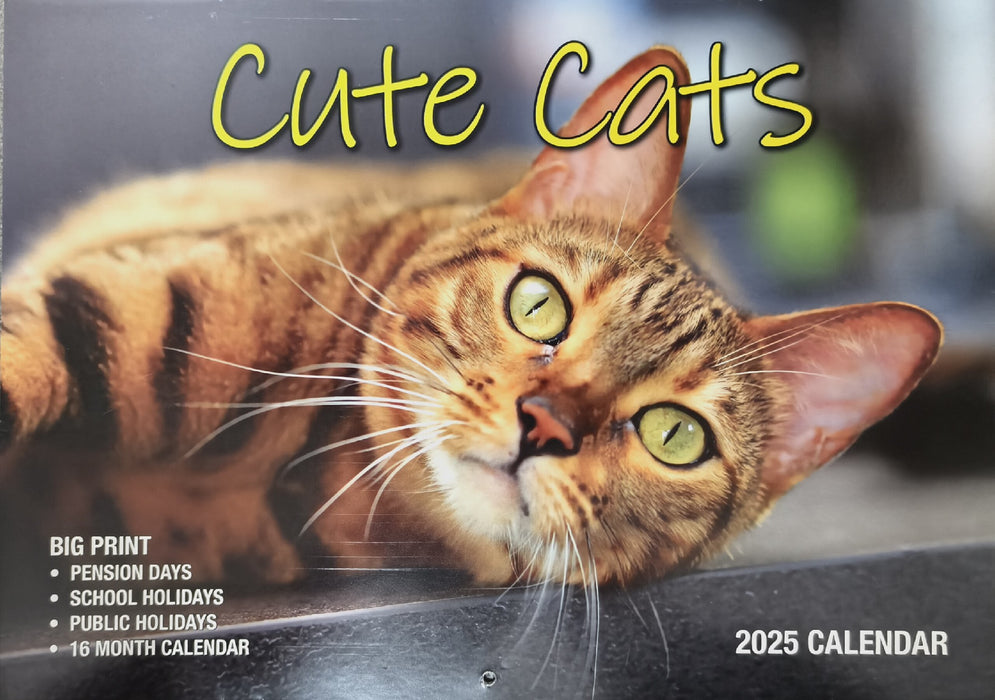 Calendar 2025 Big Print Cute Cats