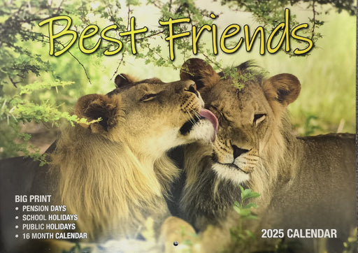 Calendar 2025 Big Print Best Friends