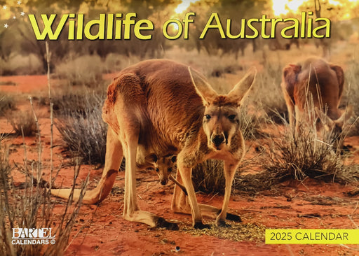 Calendar 2025 335x242mm Wildlife of Australia