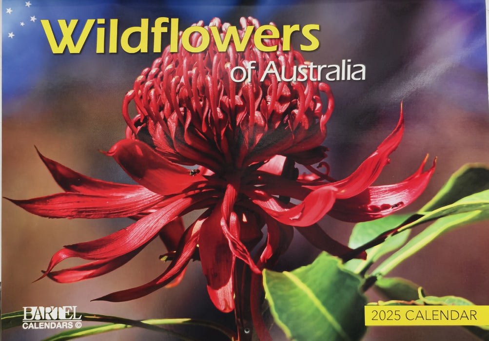 Calendar 2025 335x242mm Wildflowers of Australia