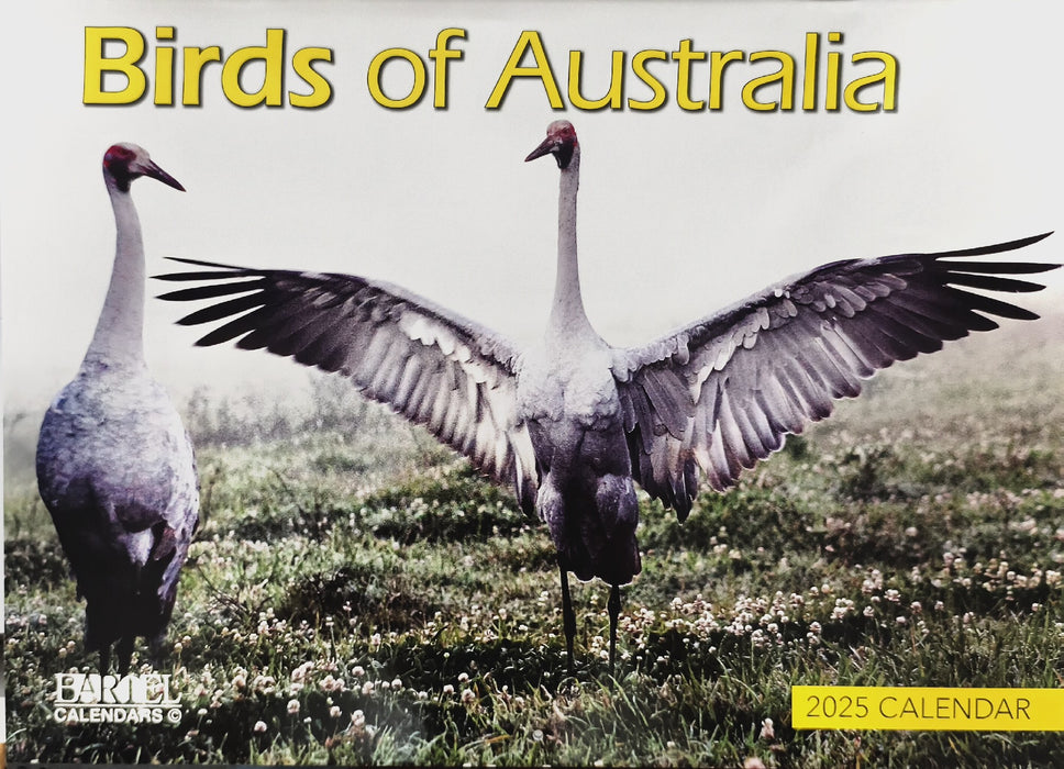 Calendar 2025 335x242mm Birds of Australia