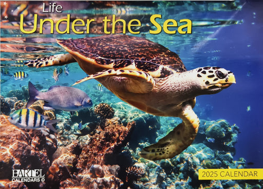 Calendar 2025 335x242mm Life Under The Sea