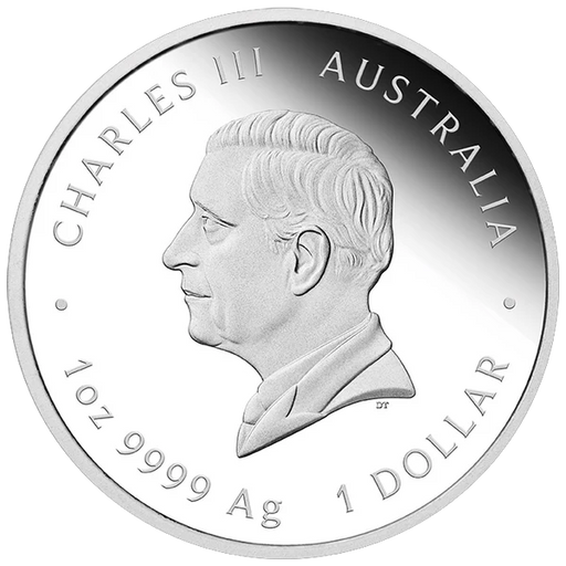 Australian Lunar Series III 2025 Year of the Snake 1oz Silver Proof Coin