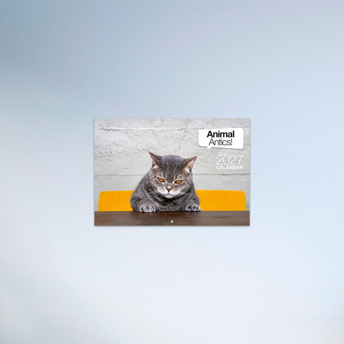 2027 CALENDAR ANIMAL ANTICS