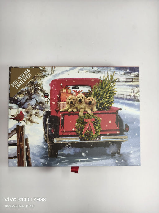 Bringing Home the Tree Deluxe Boxed Holiday Cards (20 Cards  21 Self-Sealing Envelopes) (Other)