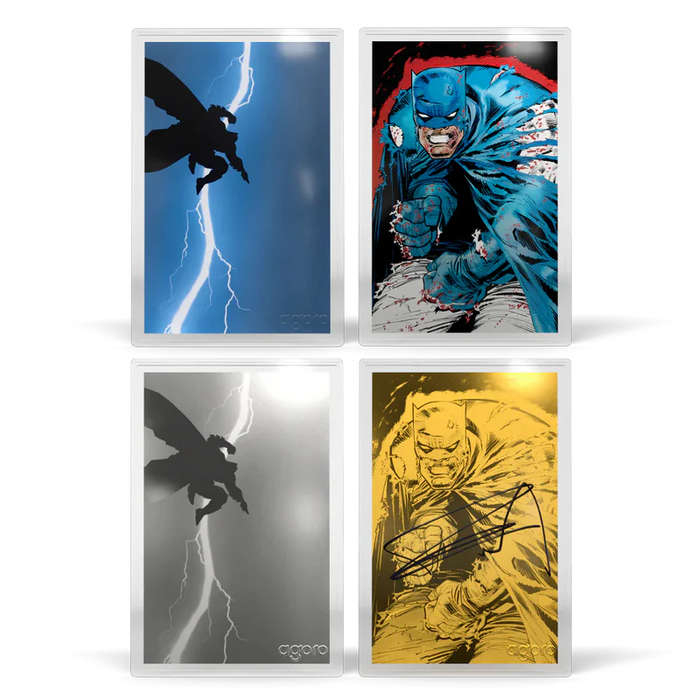 Batman The Dark Knight Returns Blind Box