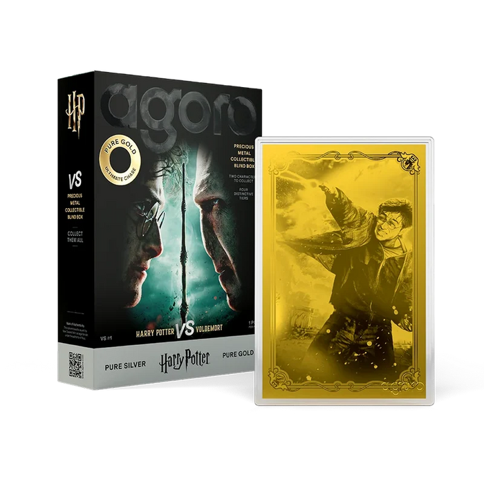 Harry Potter VS Voldemort Blind Box 5g Silver Foil