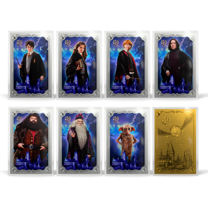HARRY POTTER™ - 25 Years of Magic Blind Box