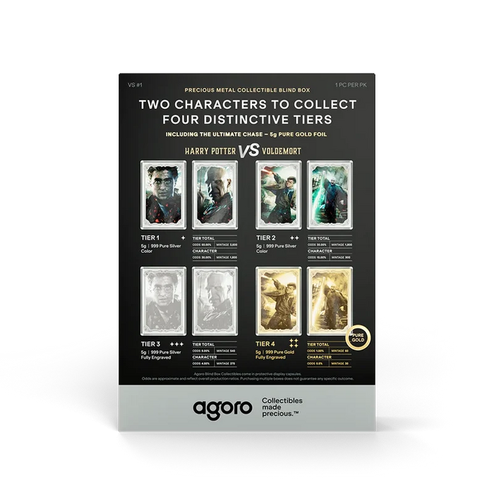 Harry Potter VS Voldemort Blind Box 5g Silver Foil