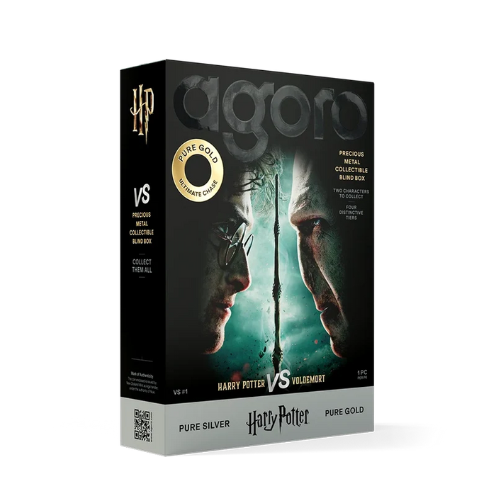 Harry Potter VS Voldemort Blind Box 5g Silver Foil