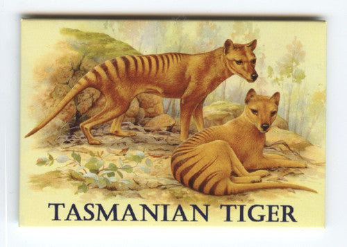 MAGNET TINPLATE 2 TIGERS
