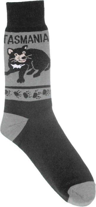 TASMANIA SOCKS SIZE 3-8