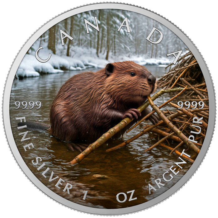 Winter Beaver 2025 Canada Maple Leaf 1oz Silver Coin