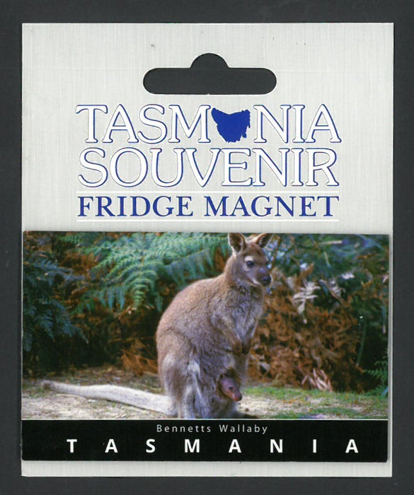 TASMANIA SOUVENIR FRIDGE MAGNET BENNETTS WALLABY