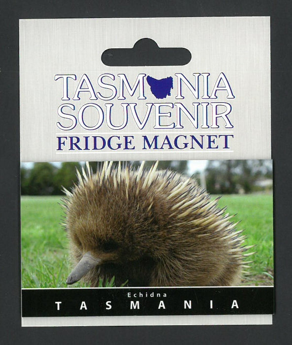 TASMANIA SOUVENIR FRIDGE MAGNET ECHIDNA