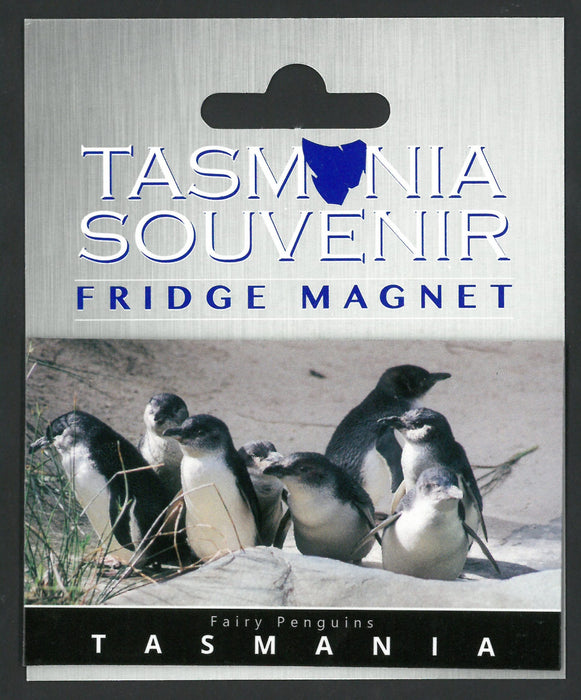 TASMANIA SOUVENIR FRIDGE MAGNET FAIRY PENGUINS