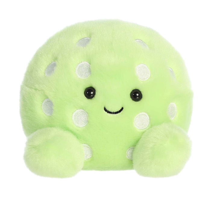 Palm Pals Steve Pickleball