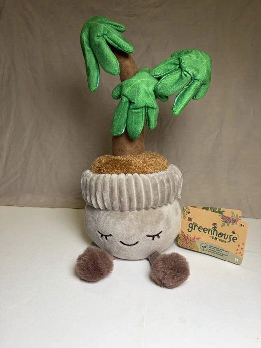 Greenhouse by Russ Money Tree Pot 12-in Plush